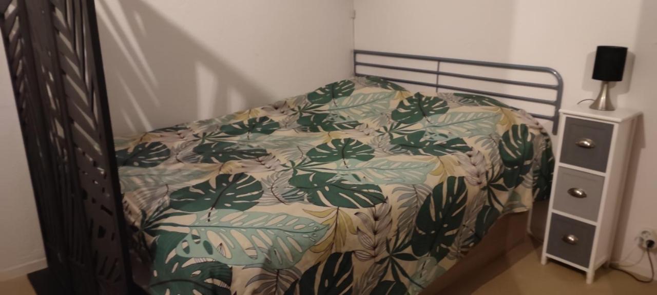 Apartmán Pour Cure Et Ski Bagnères-de-Luchon Exteriér fotografie